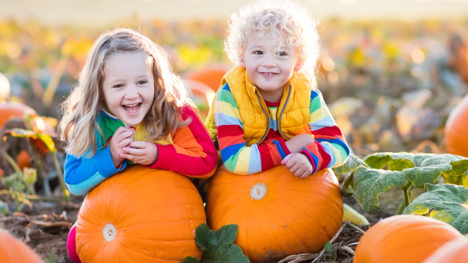 Autumn Adventures: Accessible Pumpkin Patches and Apple Orchards in Michigan