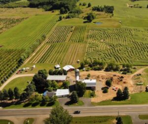 Accessible pumpkin patches Michigan