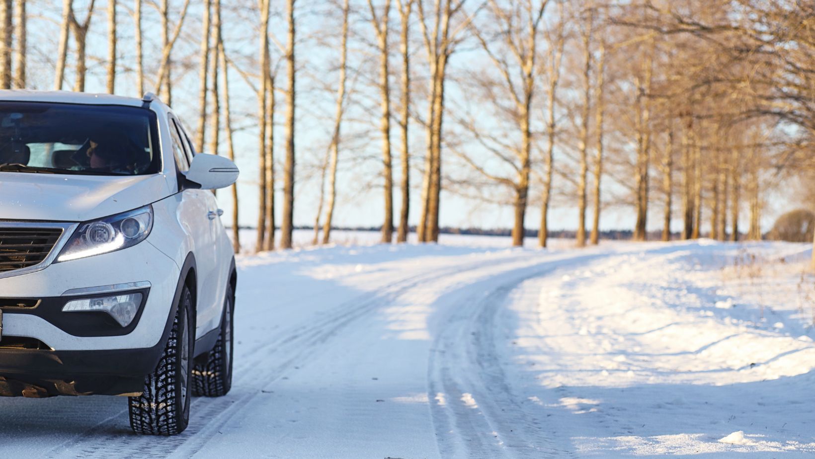 renting a wheelchair accessible van