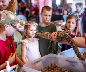 Wheelchair-Friendly Festivals and Fairs in Michigan