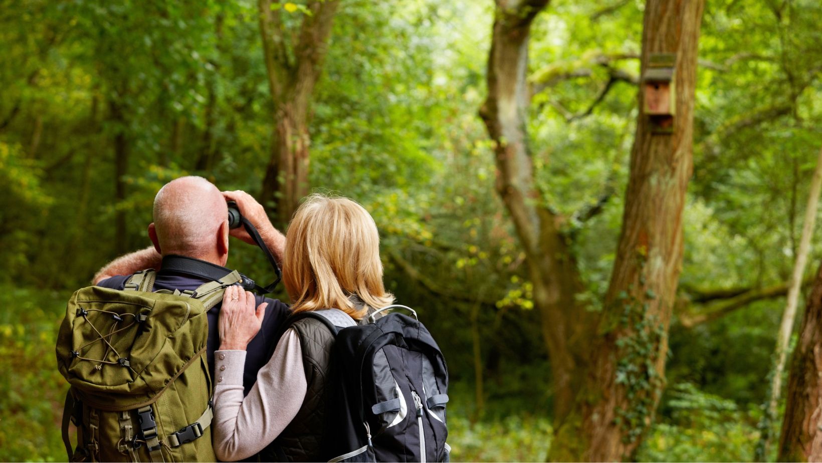 Accessible Bird Watching